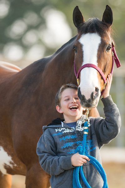 A young boy laughing while holding the lead to his Paint Horse