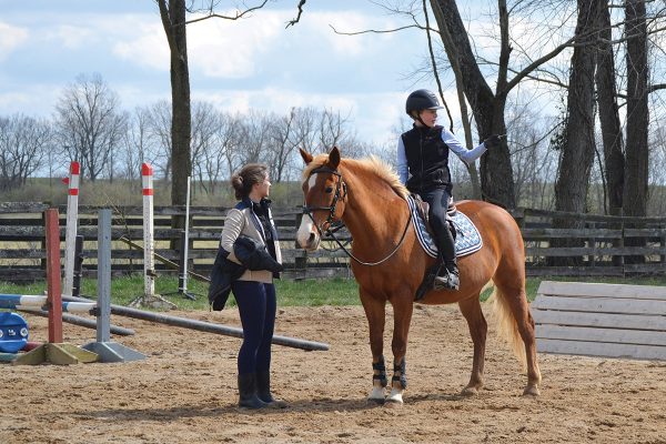 Two barn friends discussing plans in an arena.