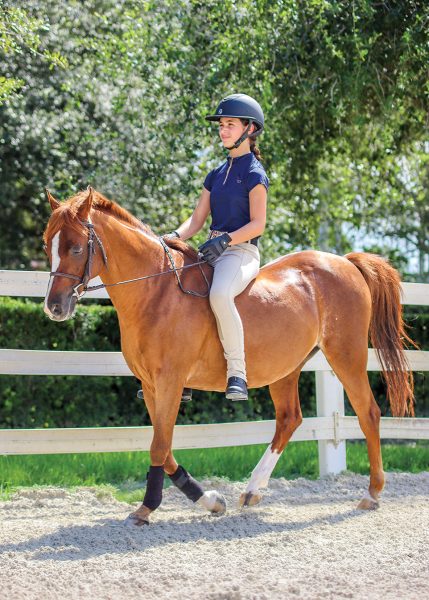 A young rider on her pony without a saddle.