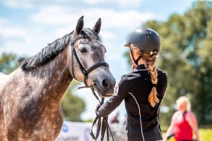 Common Mistakes for Beginners to Avoid with Horses