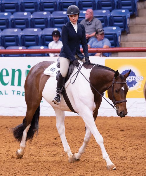An equestrian riding a Paint Horse in an English class at the APHA Youth World Show