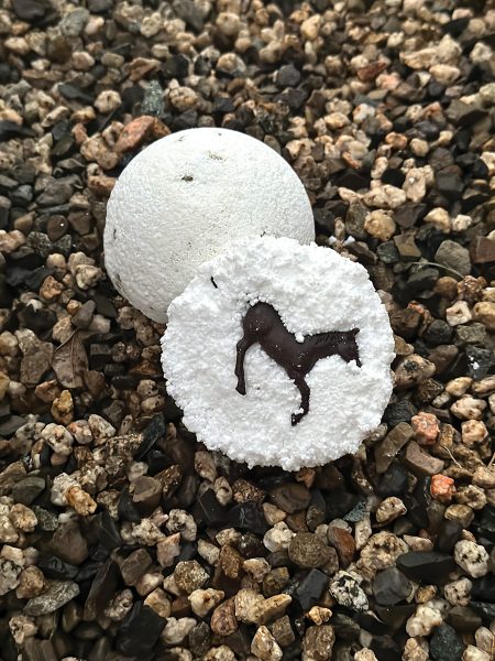 DIY Horsey Bath Bombs