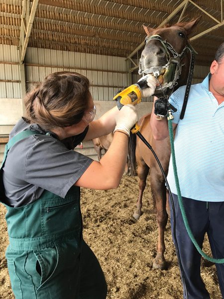 Dr. Erin using the power float to correct dental problem areas