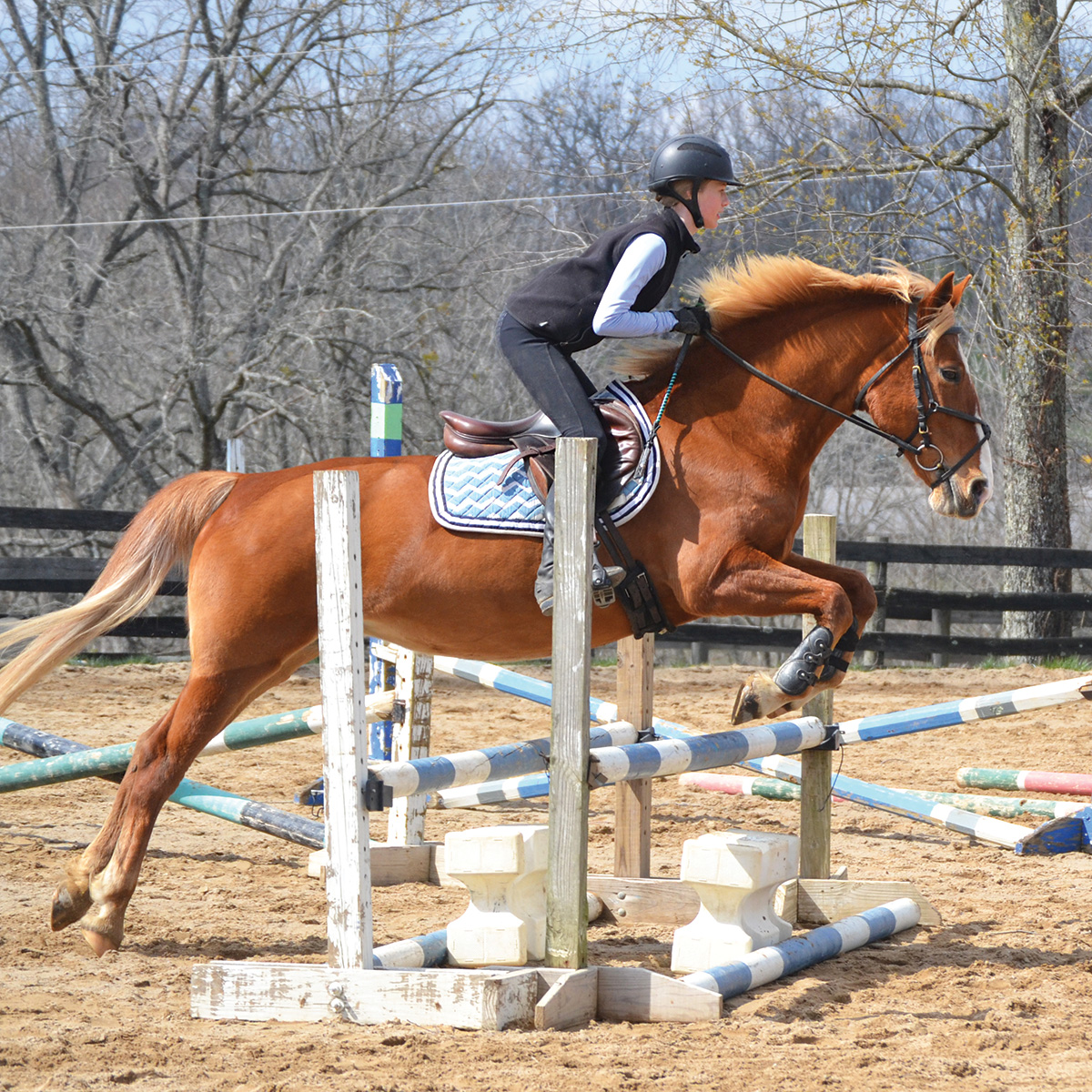 Jumping a Nervous Horse