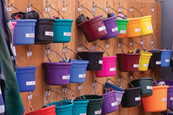 Horse buckets at a boarding barn with names labeled on them. It's important to be unique when naming your horse so it doesn't get confusing at the barn.