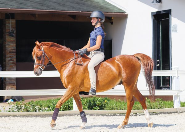 A young equestrian riding her horse bareback.