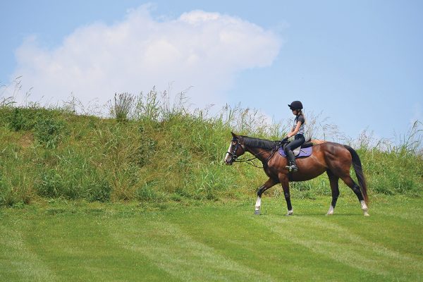 A young equestrian riding her horse outside an arena.