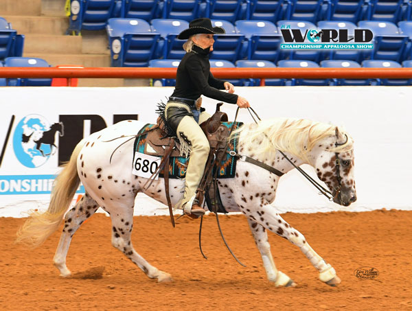 The Appaloosa Horse Breed - Young Rider magazine