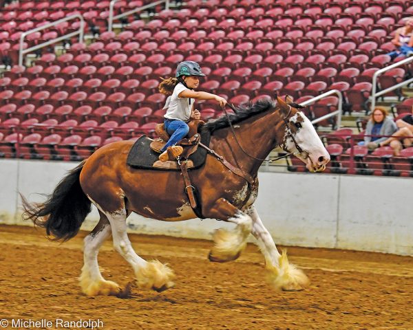 A young girl competing in speed events on a draft