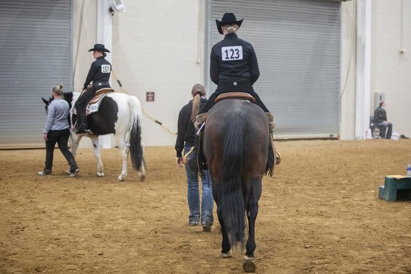 Riders leading competitors aboard their horses at an IEA show.