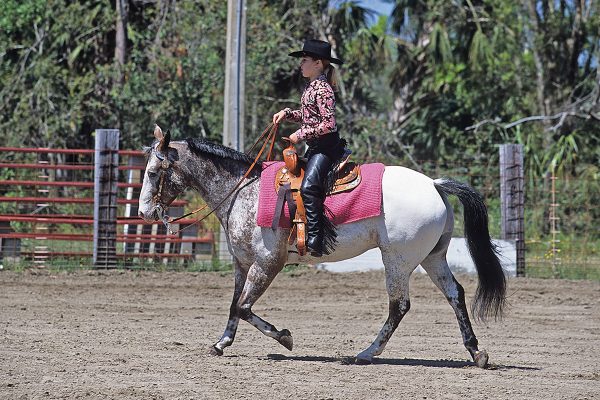 A western class at a horse show