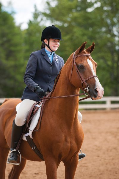 A young rider showing a chestnut Arabian horse.