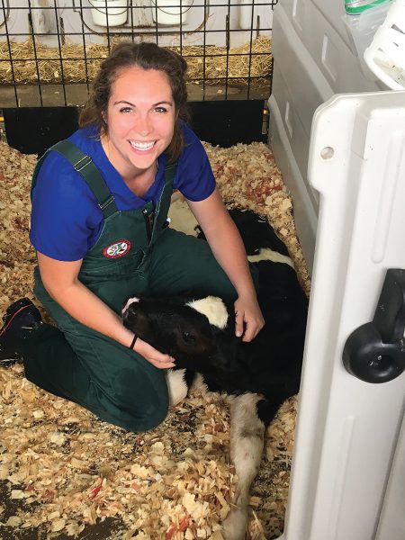 Erin Homerosky, DVM, realized she wanted a career as a veterinarian while working on a research dairy farm, shown here