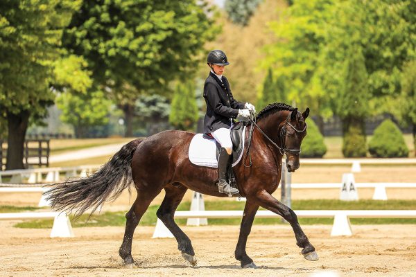 Alanna Bent competing in dressage aboard Ooude.