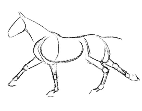 A demonstration of how to draw a horse, with circles indicating where the joints are