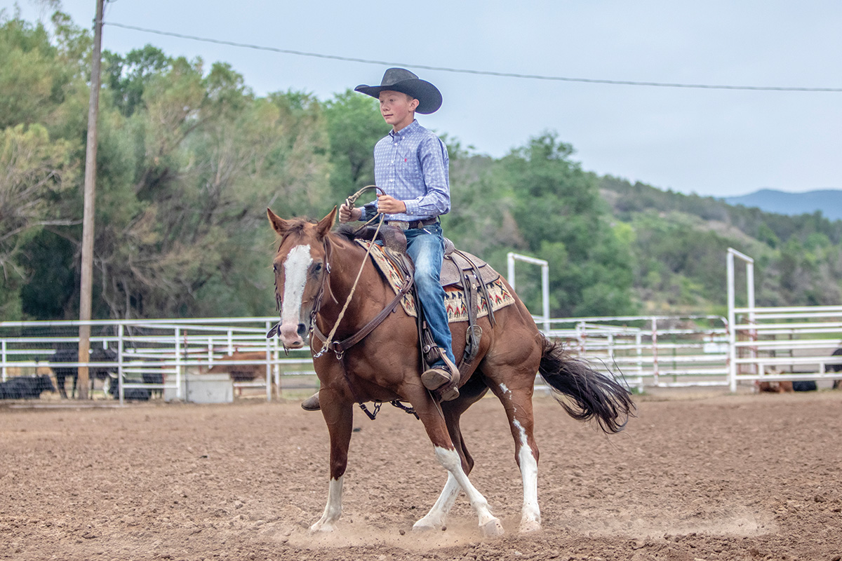 How to Master Reining Spins - Young Rider Magazine