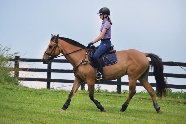 A young equestrian riding her horse outside of an arena.