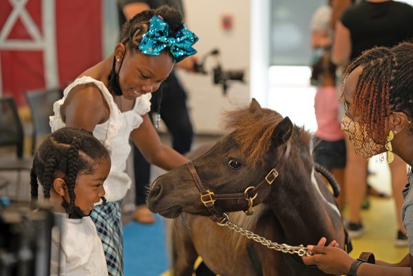 Two kids visiting Encore the miniature horse the first annual Cowgirl Camryn Day.