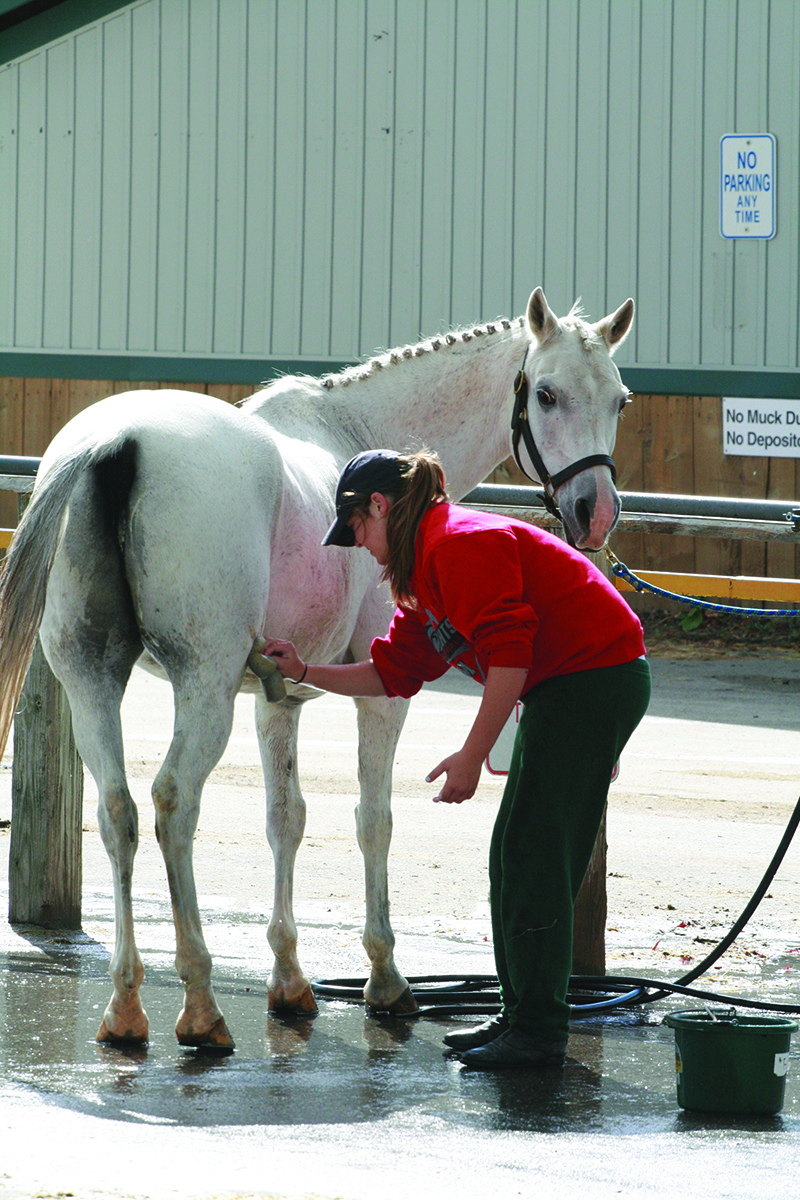 Perfect Horse Show Turnout - Young Rider Magazine