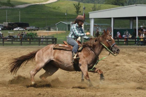 Erin barrel racing