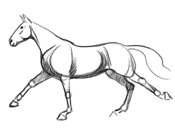 In an example of how to draw a horse, refinement of shadows is displayed