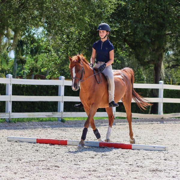 A young equestrian trots her horse over a ground pole while riding bareback.