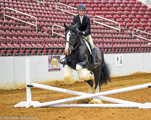 A young equestrian jumping a draft