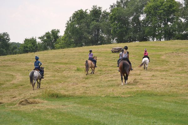 A group of young riders riding their horses in a field, outside of the arena.