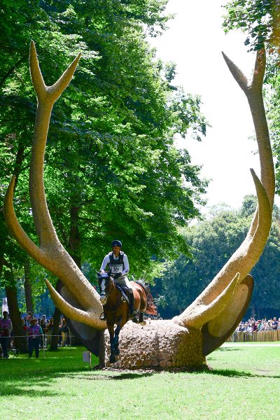 Boyd Martin and Fedarman B clear the most recognizable fence of the 2024 Paris Olympics cross-country course