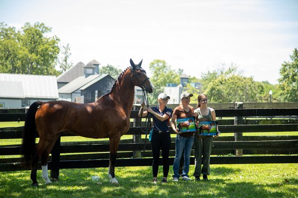 True Equestrian Heroes Set Stage for 35th BreyerFest®: Against All Odds July 12-14, 2024 in Lexington, KY