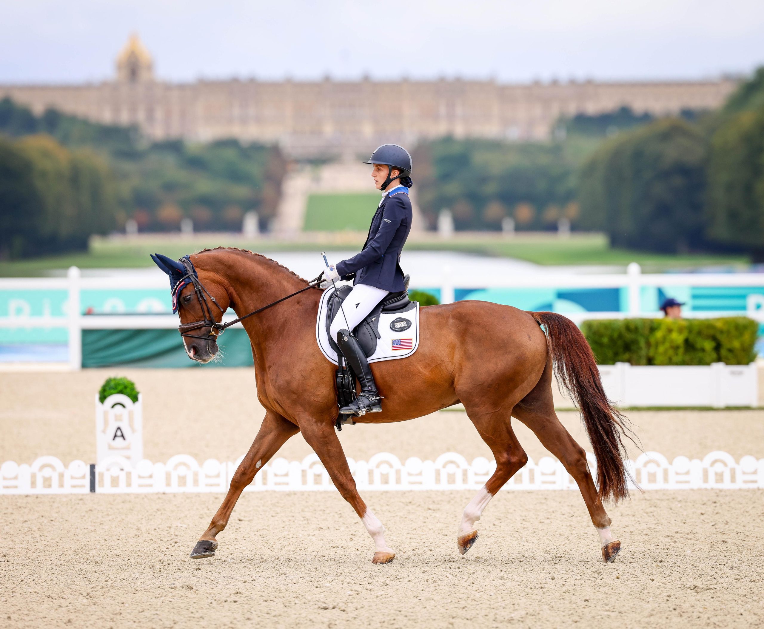 2024 Paris Paralympics: Fiona Howard and Diamond Dunes Earn Individual Gold Medal in Grade II Grand Prix Test A