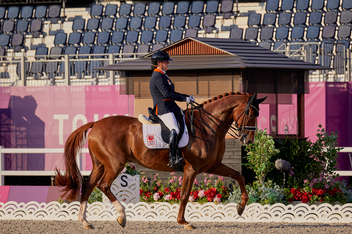 2024 Paris Paralympics: Paralympic equestrian stars all set to dance on Versailles stage