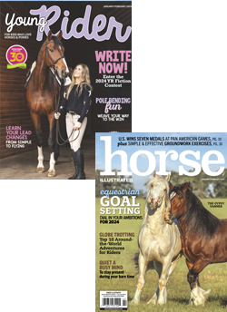 Make Your Horse's Coat Shine - Young Rider Magazine