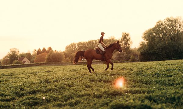 A rider galloping her horse, inspired by the Young Rider Fiction Contest second place winner's story in the 12-16 category: "Gallop Work"