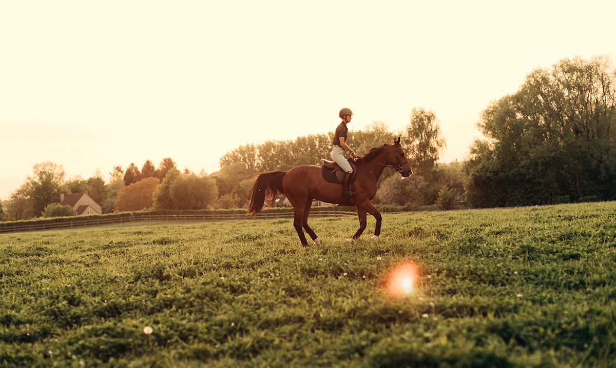 Young Rider Fiction Contest, 12-16 Second Place: Gallop Work