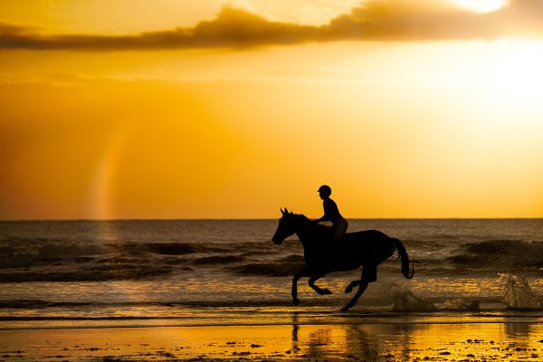 A rider galloping her horse on the beach at sunset, inspired by the Young Rider Fiction Contest third place winner's story in the 7-11 category: "Sunset Surprise"