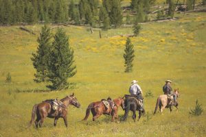 Horseback riding in the countryside of Montana