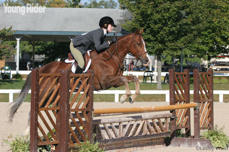 Hunter, Jumper, or Equitation? - Young Rider Magazine