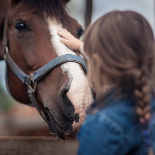 Young Rider Magazine - For Kids Who Love Horses and Ponies